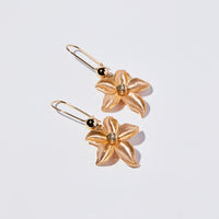 Aura Earrings